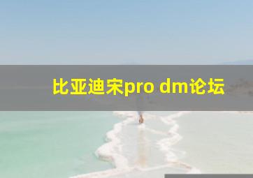 比亚迪宋pro dm论坛